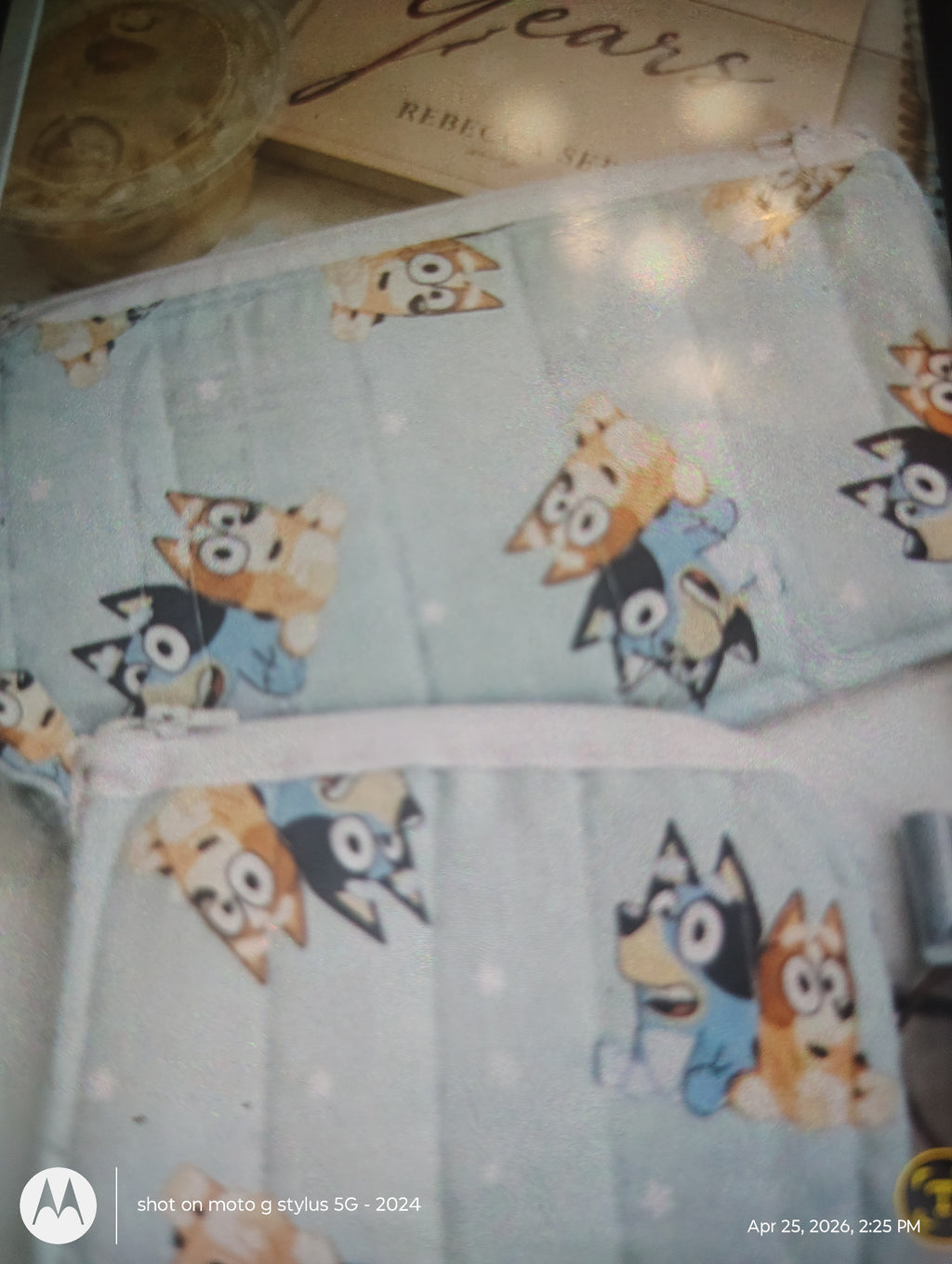 coins pouches