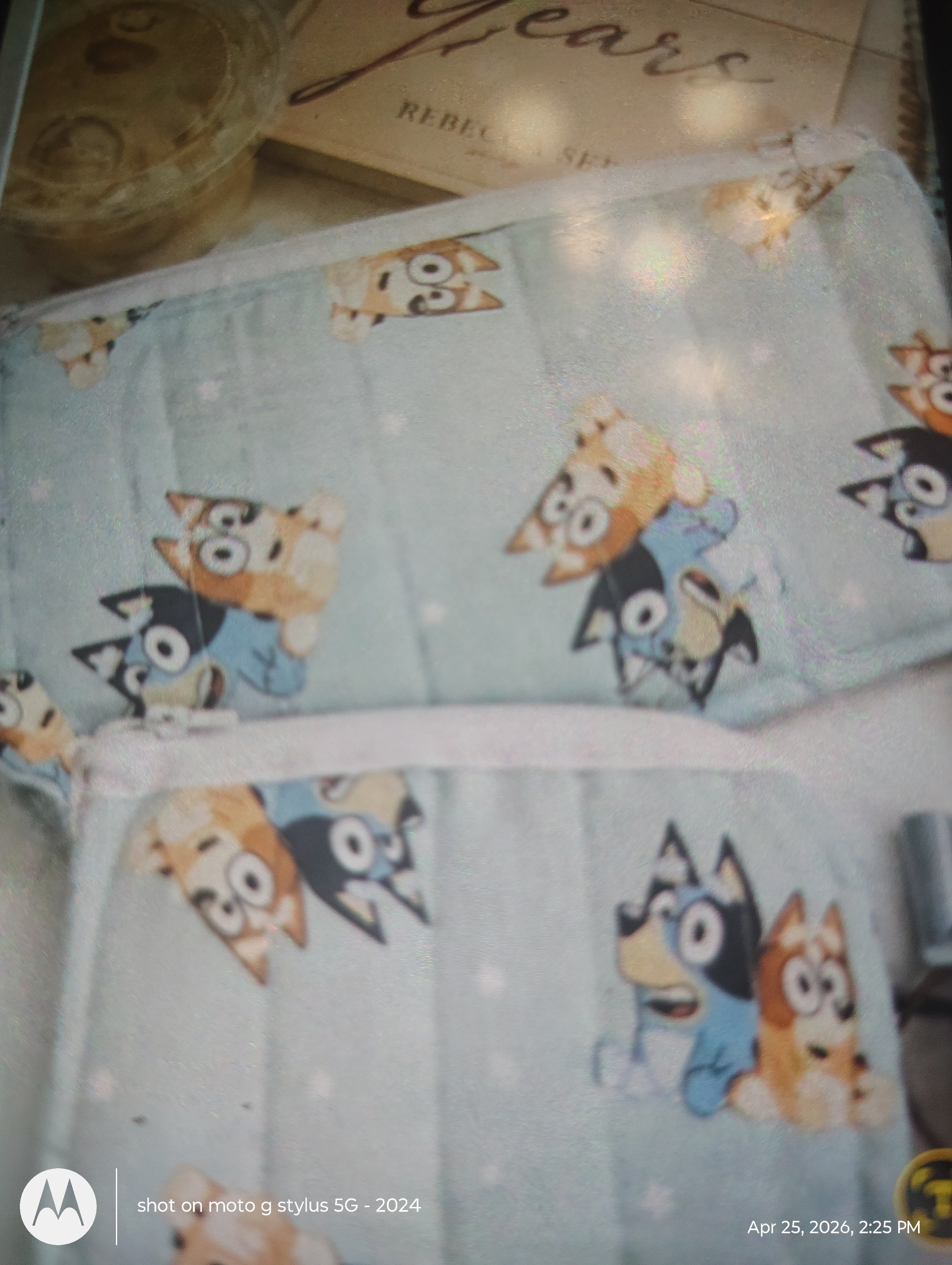 coins pouches