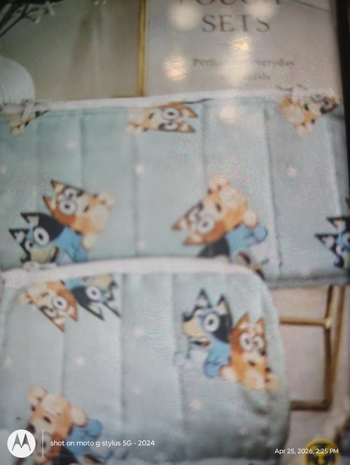 coins pouches