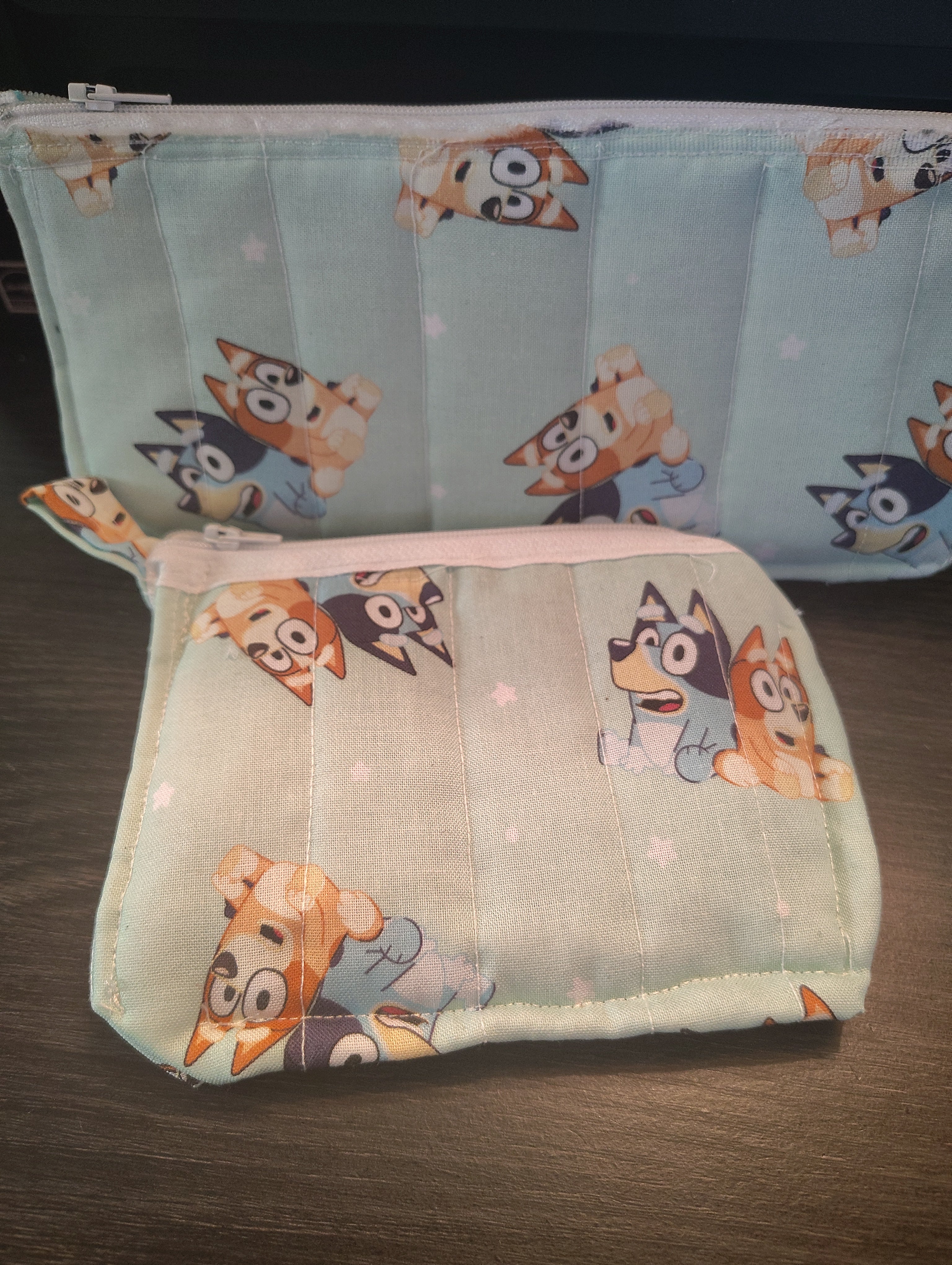 coins pouches